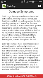 Stink Bug Decision Aid poster 4
