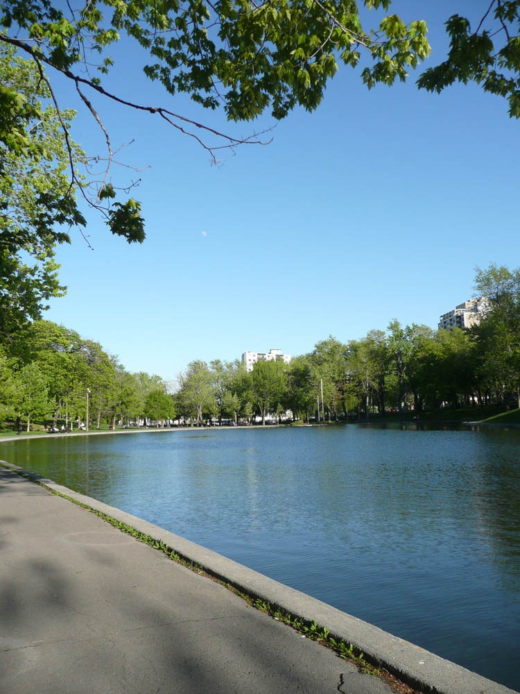 [P1030549[2].jpg]