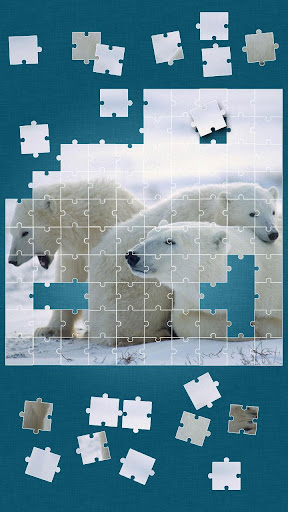 Wildlife Jigsaw Puzzle