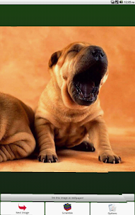 Doggies Puzzle Screenshots 1