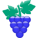 Grape (Vine-style recording!) icon