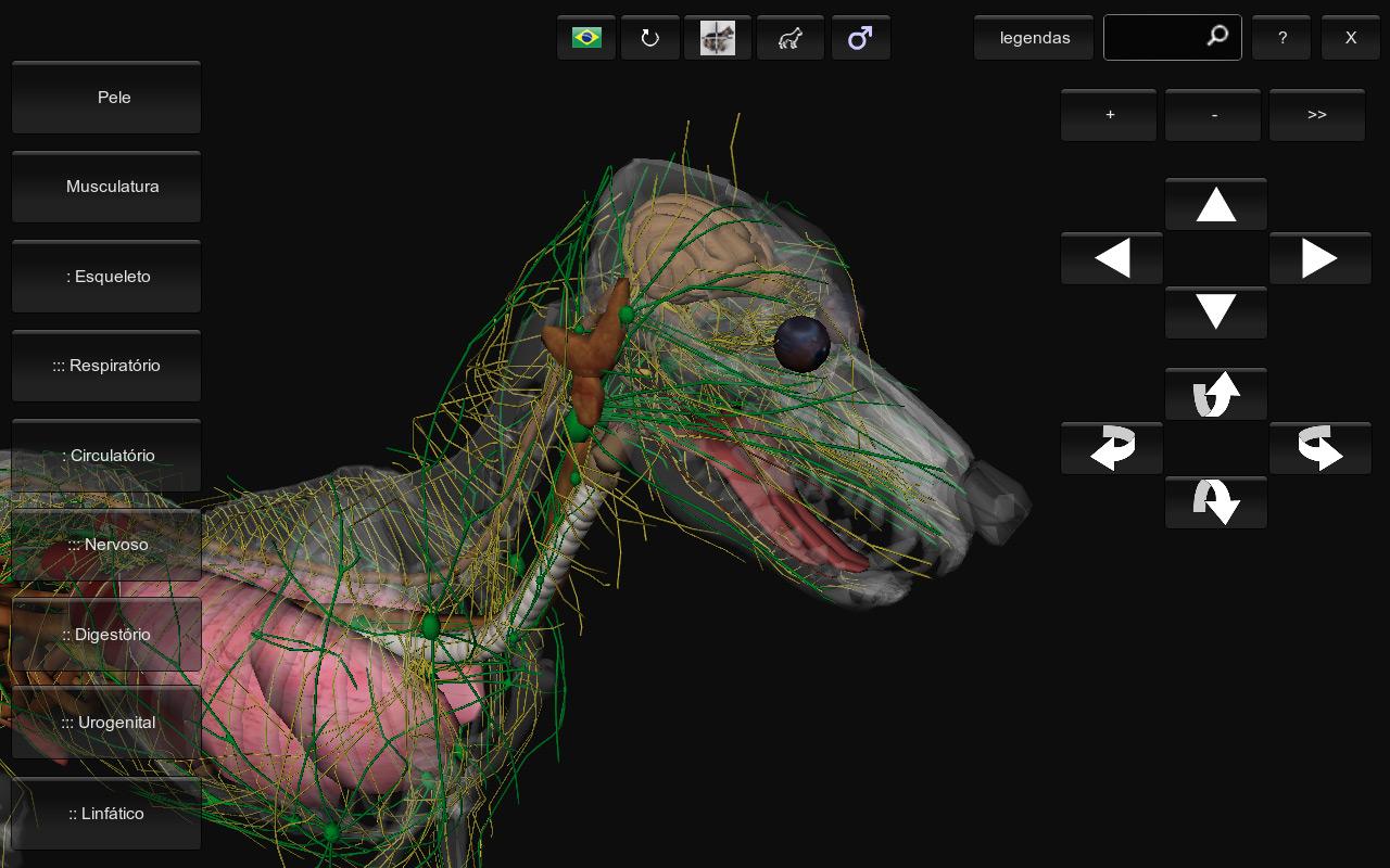 3D Dog Anatomy Android Apps on Google Play