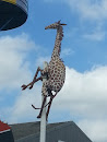 Climbing Giraffe