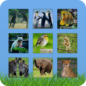 Memory Game 1.0
