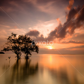 Sunset in Tanjung Pendem by Alfi Nurulhida - Landscapes Sunsets & Sunrises