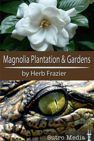 Magnolia Plantation Gardens