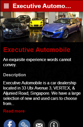 Executive Automobile