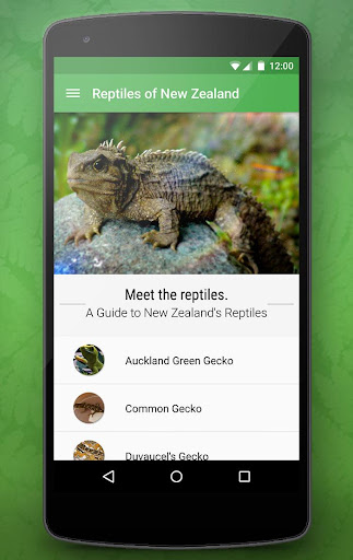 Reptiles of New Zealand Free
