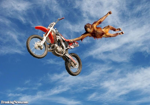 Monkey Moto Racing