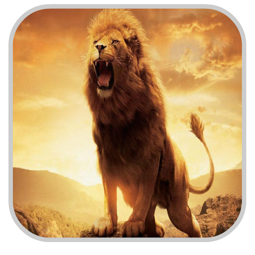 Lion Wallpapers HD 攝影 App LOGO-APP開箱王