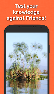 Free Download Water Trivia APK for PC