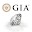 GIA 4C指南 Download on Windows