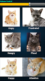 Cat Language Translator by Dexati poster 3