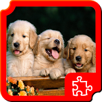 Dogs Puzzles Apk