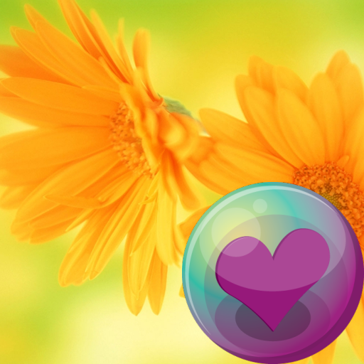 Flowers HD Wallpapers 生活 App LOGO-APP開箱王