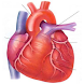 Luck Heart Surgery icon