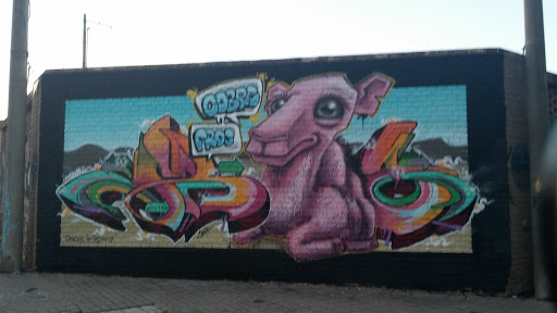 Mural El Camello