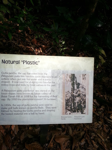 Nature Plastic