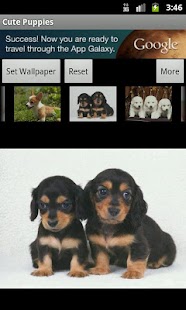 Free Cute Puppies Wallpaper APK for Android
