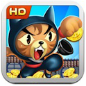 Temple Roof Cat Run logo