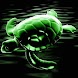 Green Turtle For Good Luck