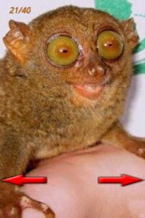 How to install Funny Photo 1.0 mod apk for bluestacks