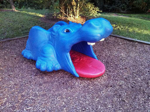 Hedwig Park Blue Hippo