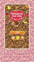 Hedgehog Fun Run APK צילום מסך #12