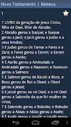 Portuguese Holy Bible poster 5