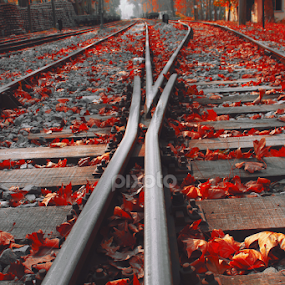 by Ahmet Tarıl - Transportation Trains