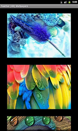 【免費個人化App】Feather [HD] Wallpapers-APP點子