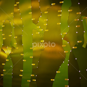 by Gaétane Ferland - Abstract Patterns