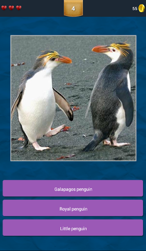 Penguin Clan