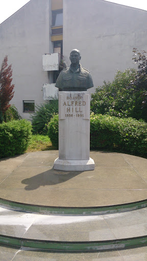 Bojnik Alfred Hill