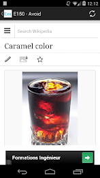 Food Additives by Sylvain Saurel poster 3