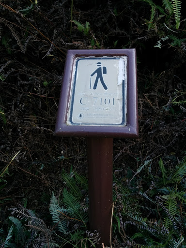 Trail Distance Post C7101