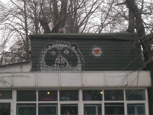 Panda on the Roof
