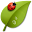 Living Garden Live Wallpaper Download on Windows