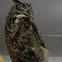 Great Horned Owl