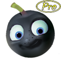 EyeBerry Pro logo