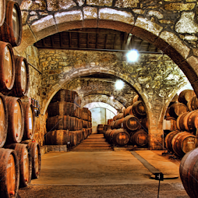 Port wine cellars by Antonio Amen - Buildings & Architecture Other Interior