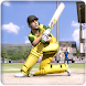 Pinch Hitter Cricket!