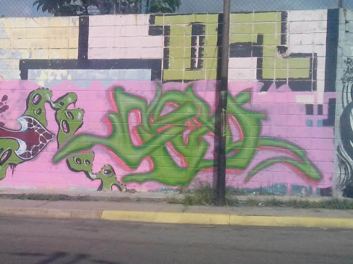 Grafitti Ccerg