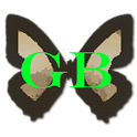 GB Photo Editor icon