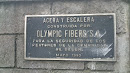 Acera Olympic Fibers