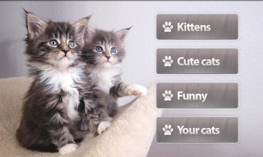 How to get Cats Memory Game patch 1.0.6 apk for pc