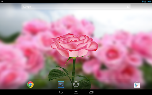 3D Rose Live Wallpaper