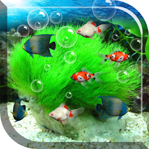 Aquarium Live Wallpaper