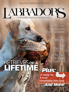 How to install Labradors 1.0.2 mod apk for pc