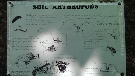 Soil Arthropods